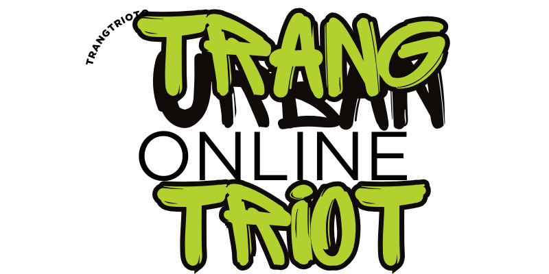 trangtrioto.com